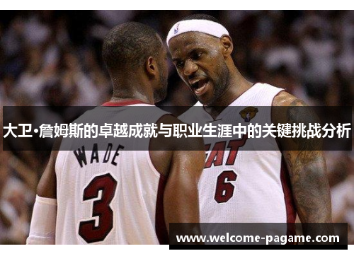 大卫·詹姆斯的卓越成就与职业生涯中的关键挑战分析
