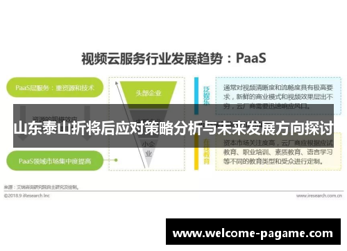 山东泰山折将后应对策略分析与未来发展方向探讨