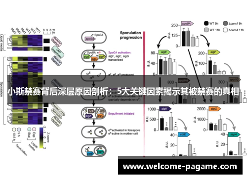 小斯禁赛背后深层原因剖析：5大关键因素揭示其被禁赛的真相