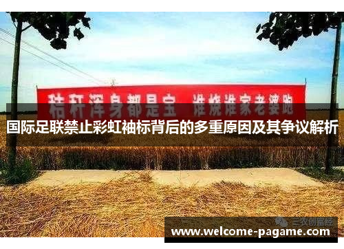 国际足联禁止彩虹袖标背后的多重原因及其争议解析