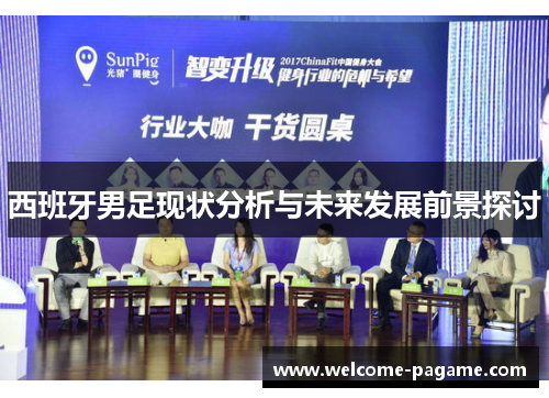西班牙男足现状分析与未来发展前景探讨