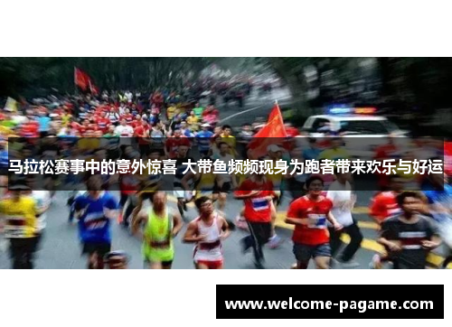 马拉松赛事中的意外惊喜 大带鱼频频现身为跑者带来欢乐与好运