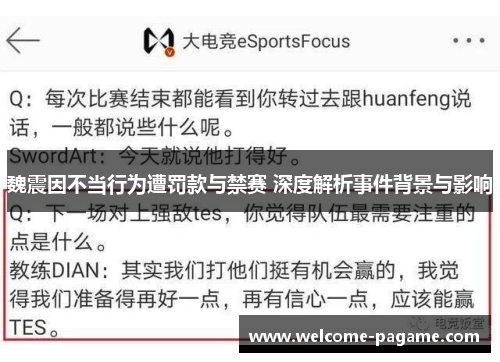 魏震因不当行为遭罚款与禁赛 深度解析事件背景与影响