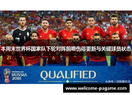 本周末世界杯国家队下轮对阵前瞻伤停更新与关键球员状态